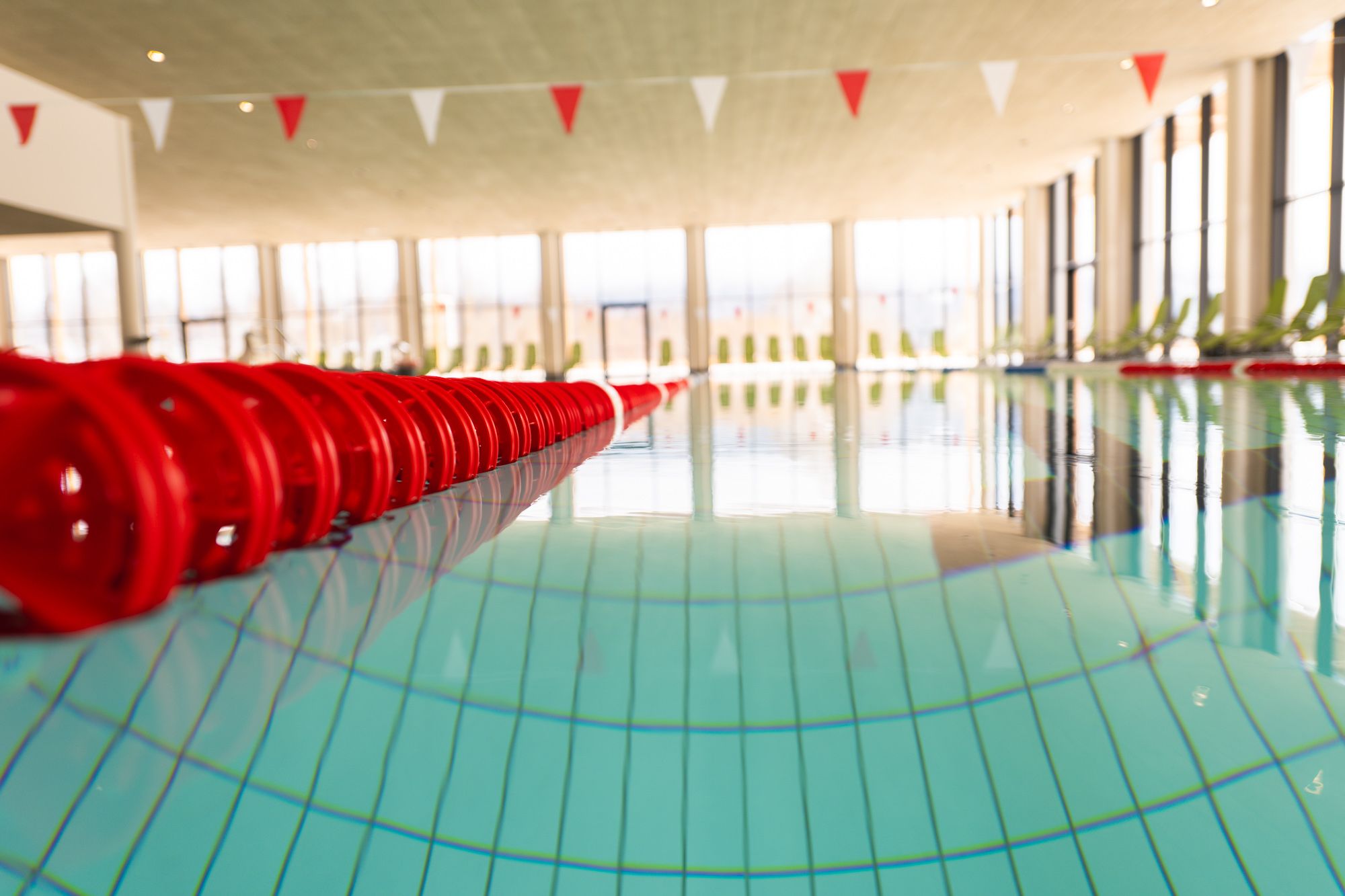 EC family sauna web zf 12