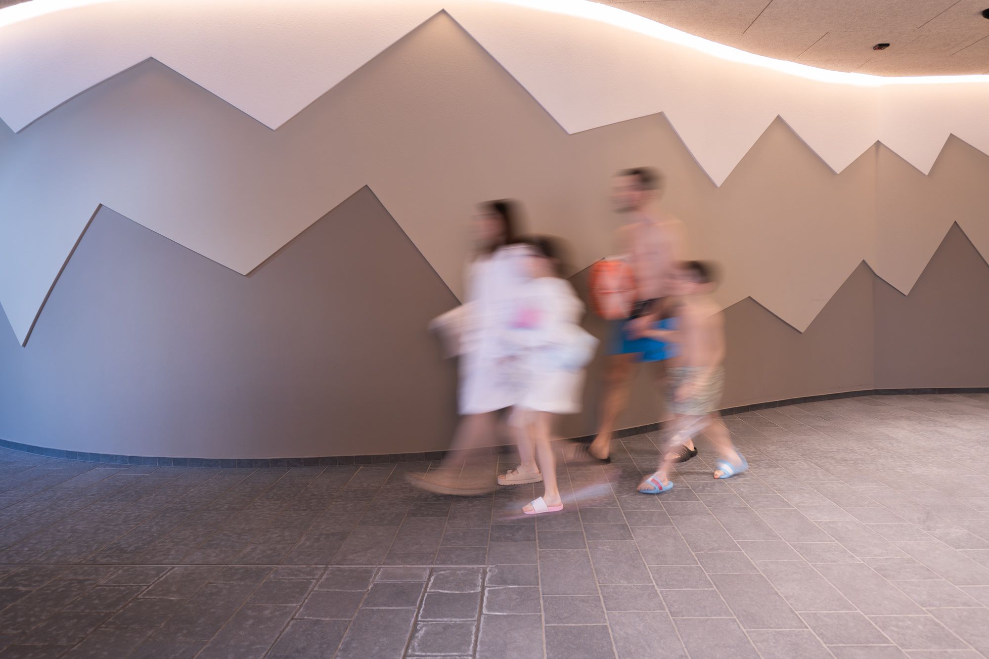 EC family sauna web zf 31